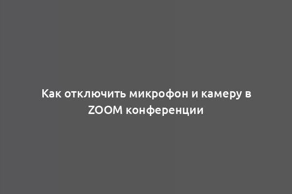 Как отключить микрофон и камеру в Zoom конференции